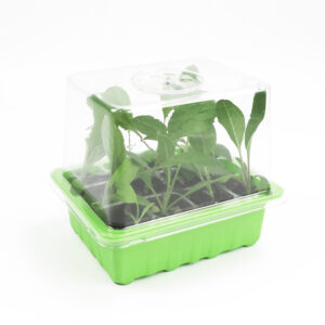 加厚透气透光 12孔育苗盘三件套 可调节园艺种植盒 浅绿色深绿色