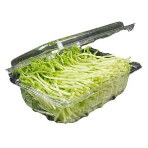 跨境专供 透明带盖有机蔬菜盒 一次性吸塑食品包装盒 超市新鲜豆芽水果收纳盒