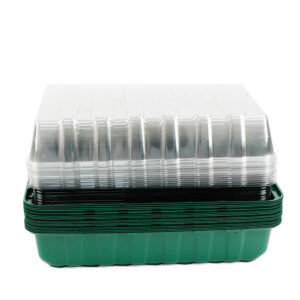 24孔育苗盘 墨绿色闷养盒育苗罩 跨境出口专供