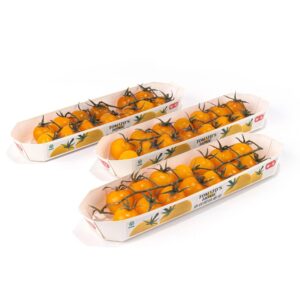 船型水果纸托盘